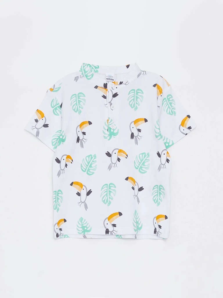 Parrots Boy Set