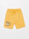 Roar Boy Set
