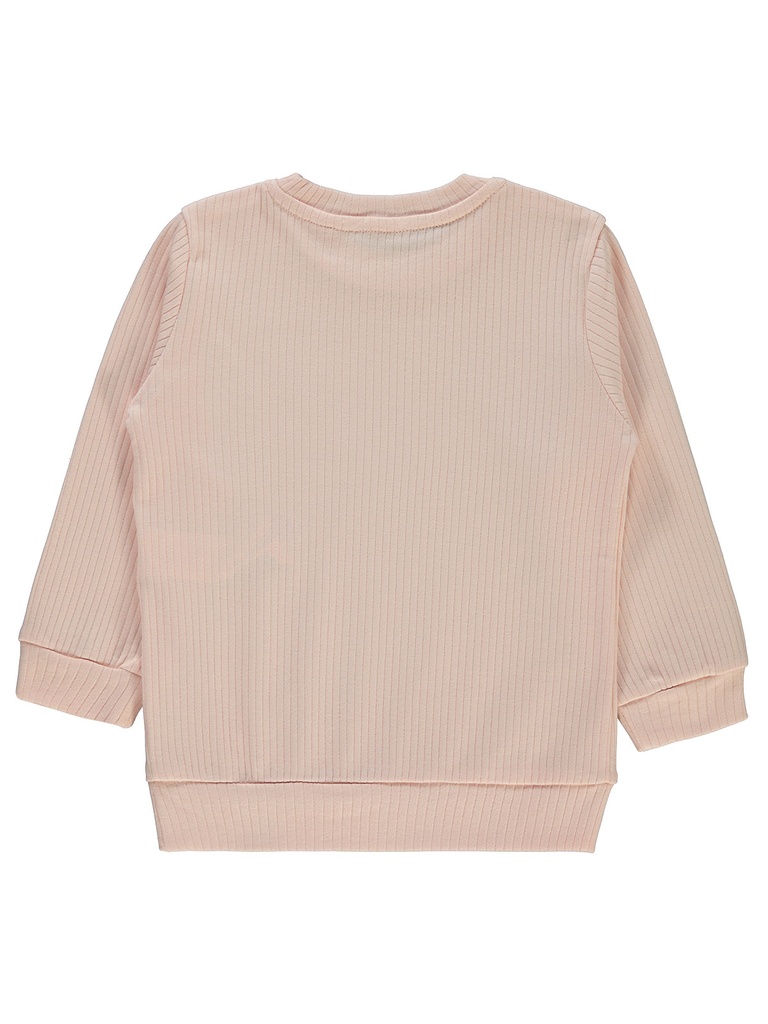 Powder Pink Sweatshirt