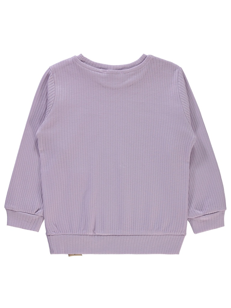 Light Purple Sweatshirt