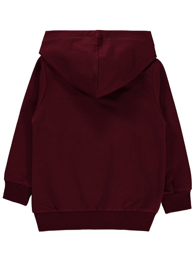 burgundy Hoodie