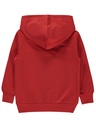 Red Hoodie