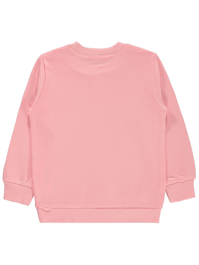 Pink Sweatshirt