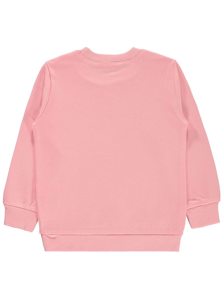 Pink Sweatshirt