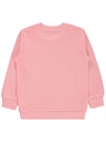 Pink Sweatshirt