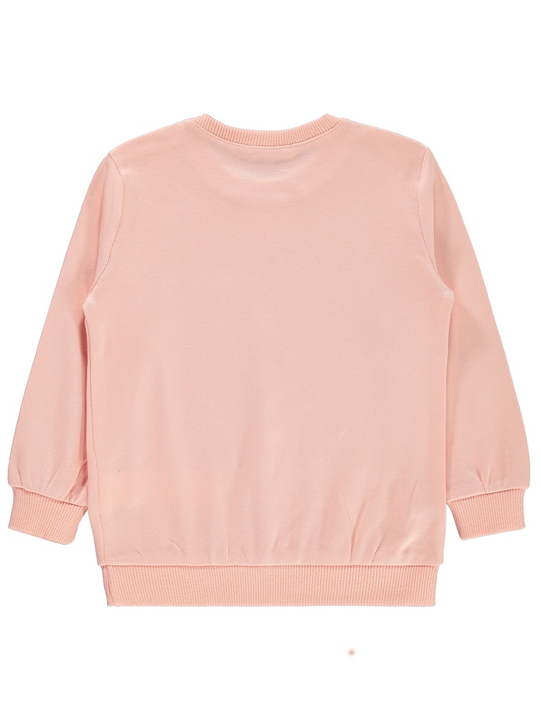 Powder Pink Sweatshirt