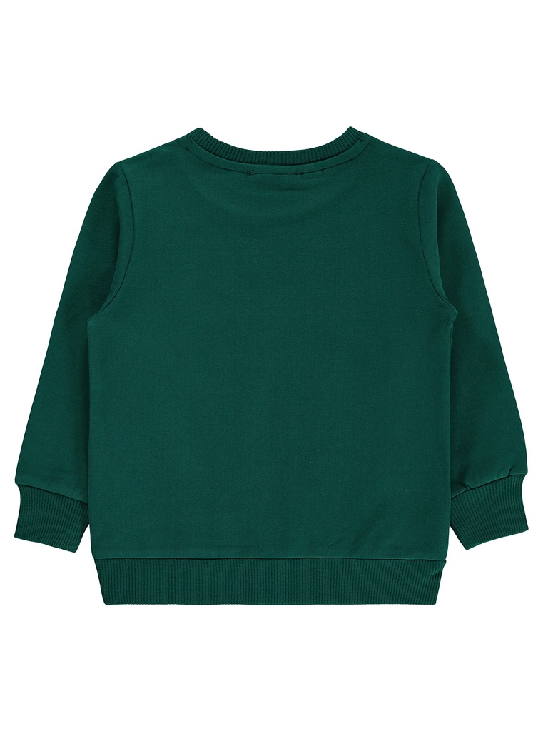 Dark Green Sweatshirt