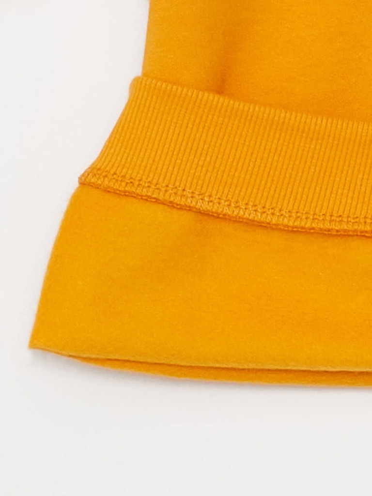 Dino Orange Sweatshirt- Fleece Inside
