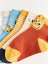 Pack of 5 pairs of socks