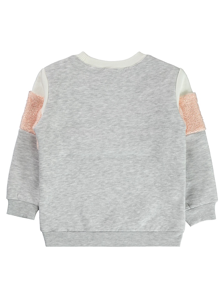 Salmon Grey Fleece inside Sweatshirt