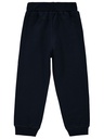 Fun Navy Blue Sweatpants