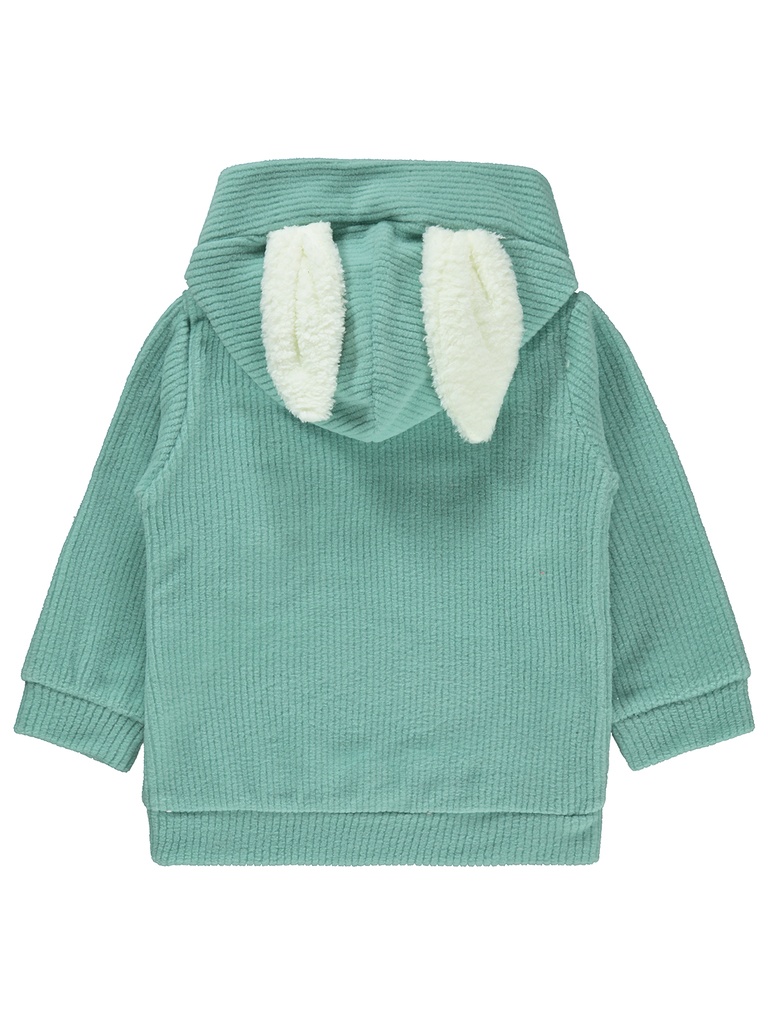 Polar Fleece Green Color Hoodie