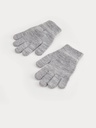 Grey Winter Gloves