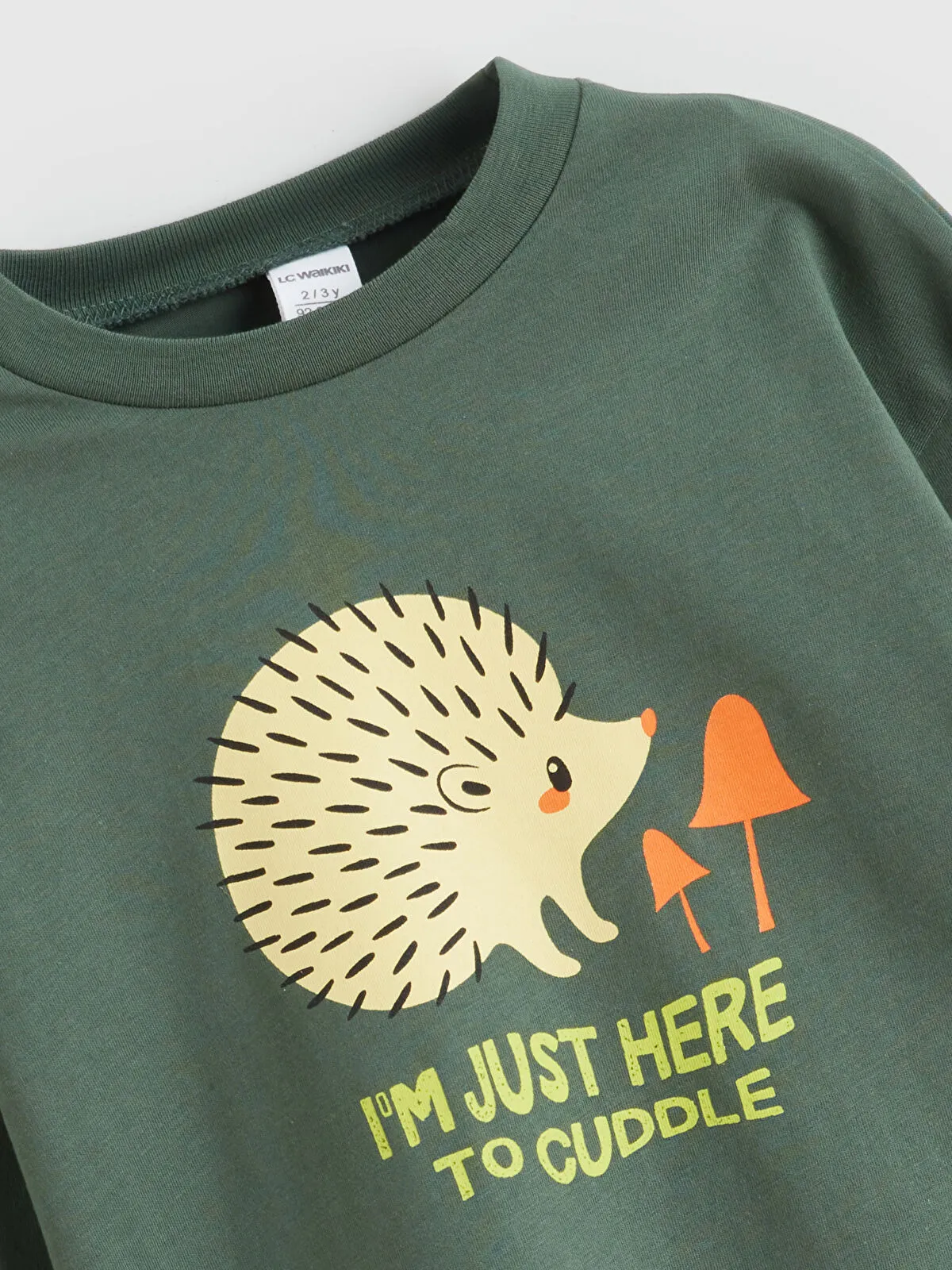 Crew Neck Boys' T-Shirt (Pack of 2) (copy)