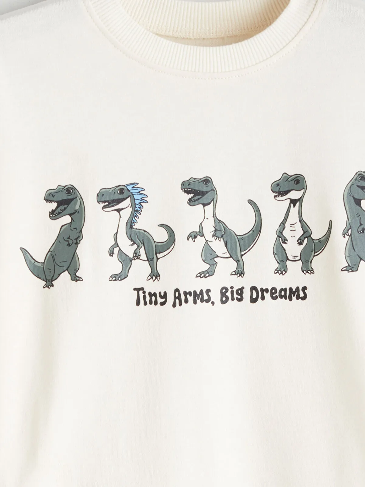 White Crew Neck Boys' long sleeve T-Shirt (copy)