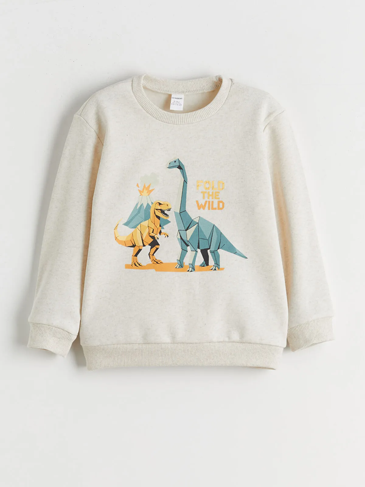 Green Dinosaur Print Boys' Sweatshirt (Pack of 2)