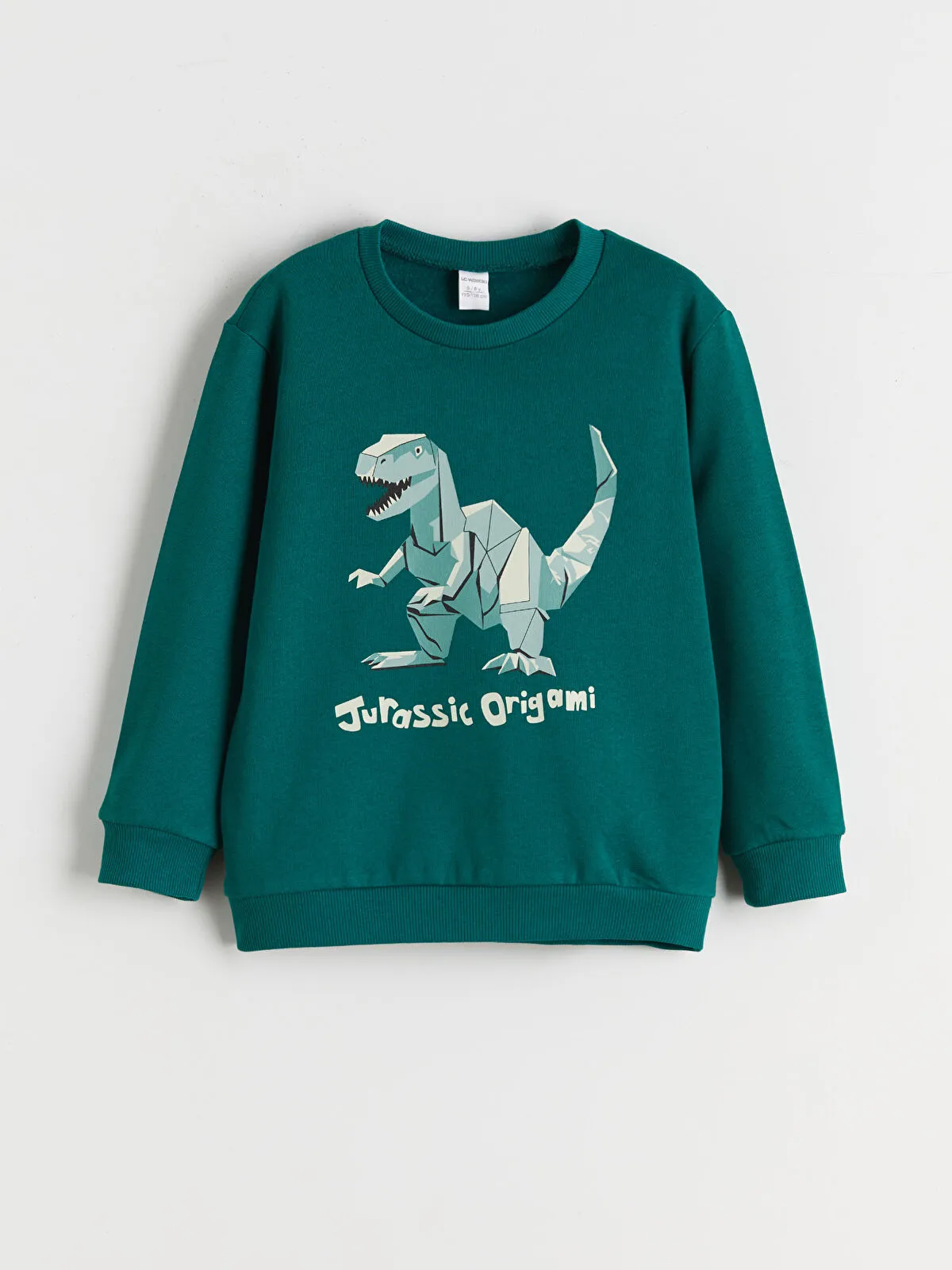 Green Dinosaur Print Boys' Sweatshirt (Pack of 2)
