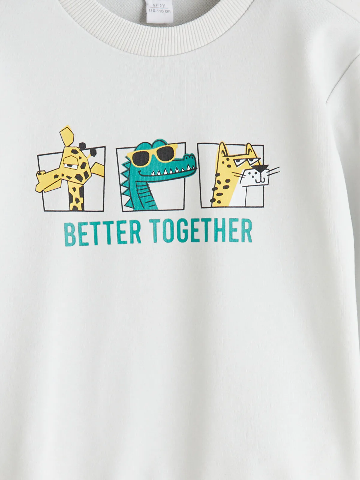 Grey Animal Print Boys' Sweatshirt