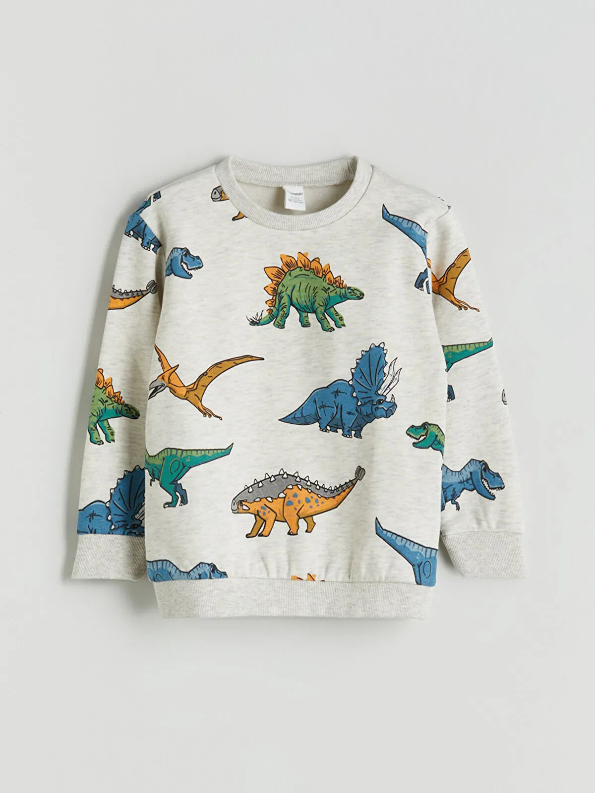 Boys' Dinosaur Print Thick Sweatshirt