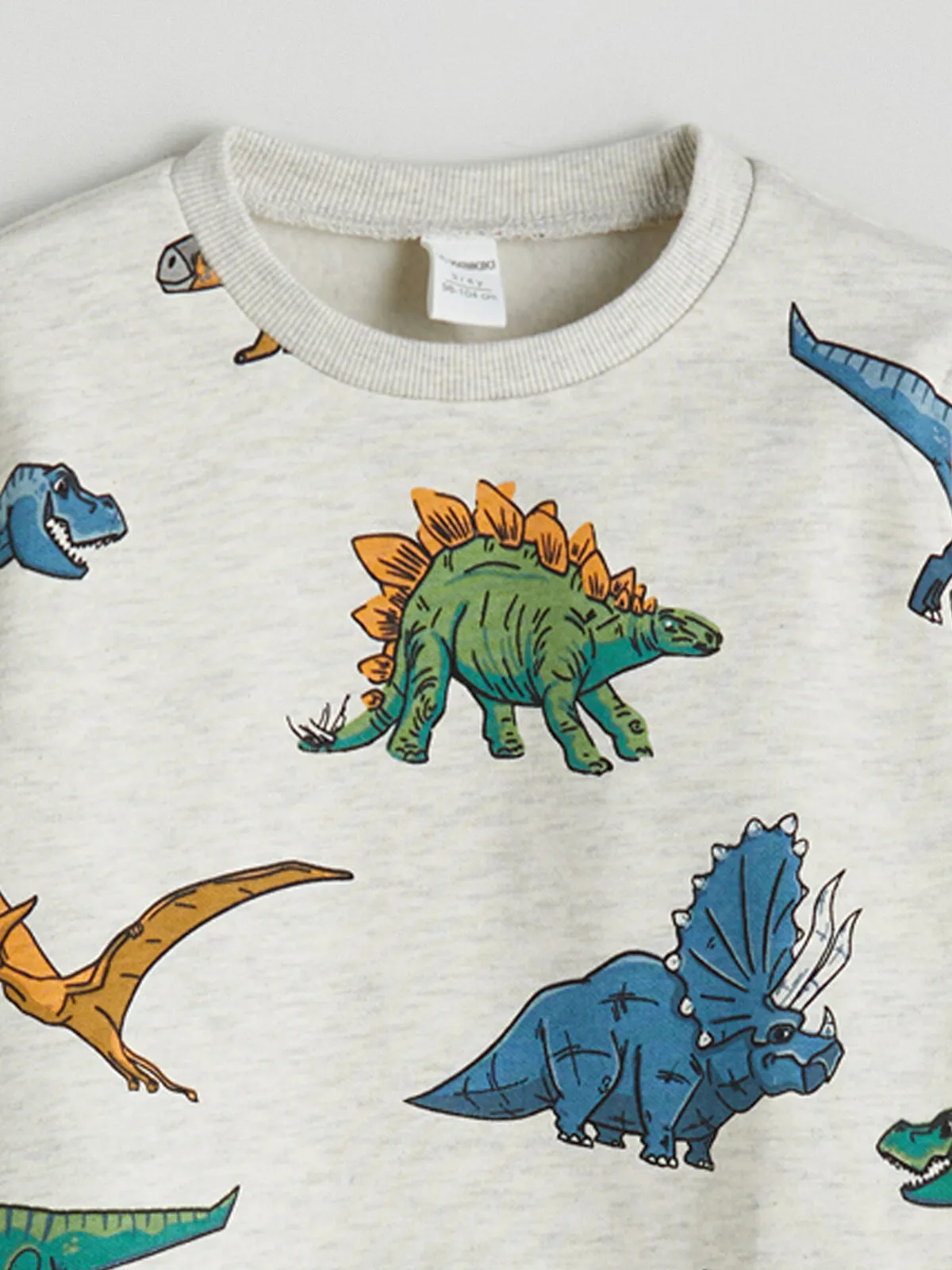 Boys' Dinosaur Print Thick Sweatshirt