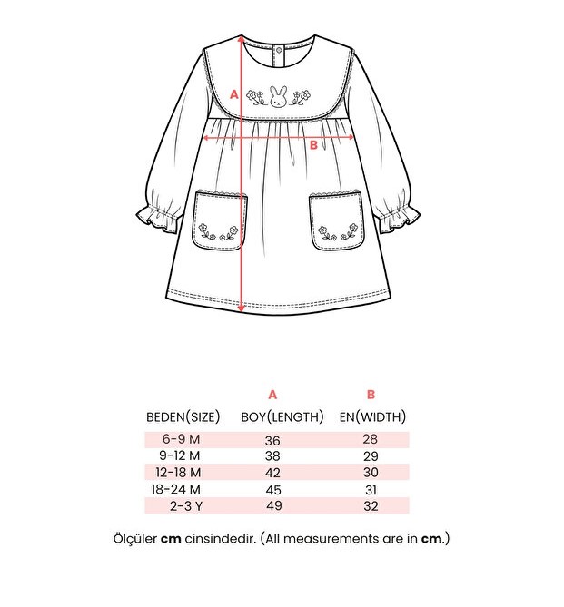 Embroidered Pocket Baby Girl Dress- Beige