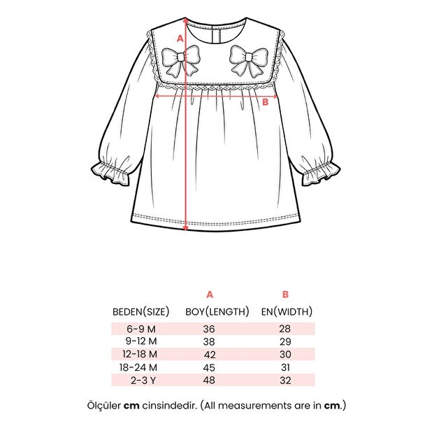 Embroidered Baby Girl Dress with Bag - Beige