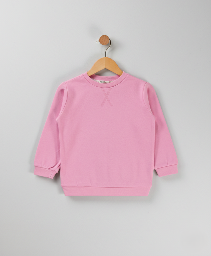 Pink Basic Sweatshirt ( 2-5Y)