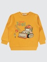 Green Panda Cotton Sweatshirt (2-5 years)  (copy)