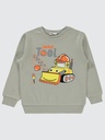 Grey Cotton Sweatshirt (2-5 years)