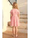 Pink Hearts Tutu Dress 