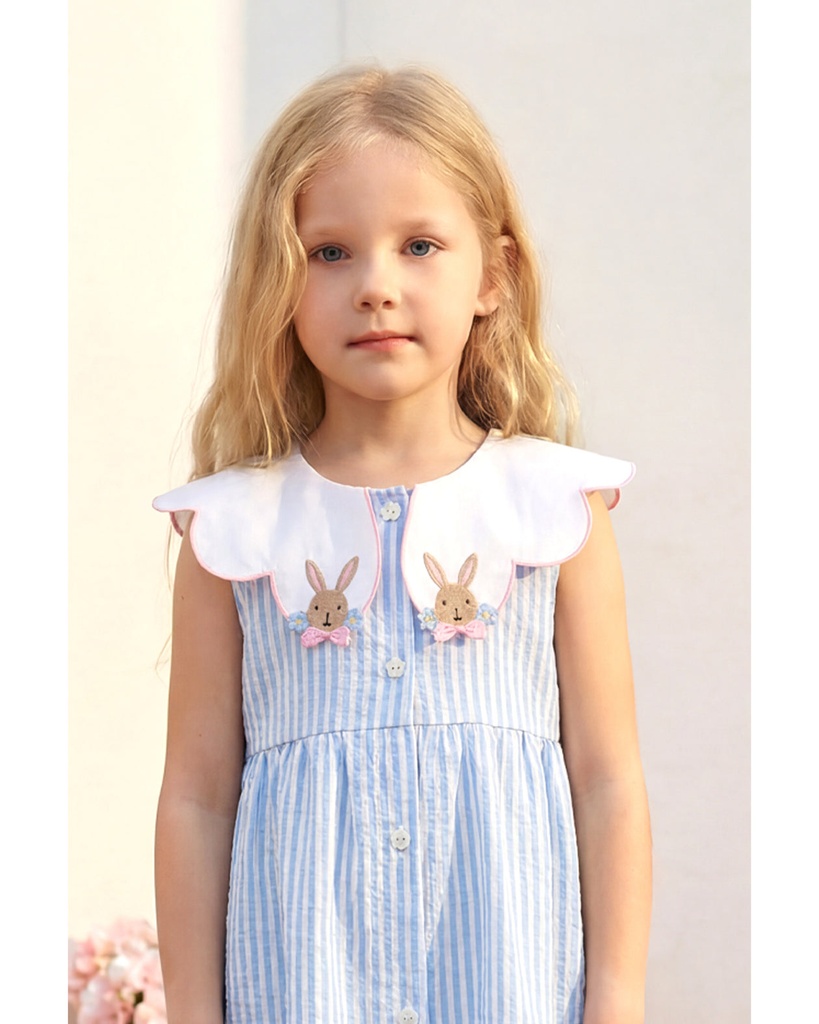 Rabbits Blue Dress 