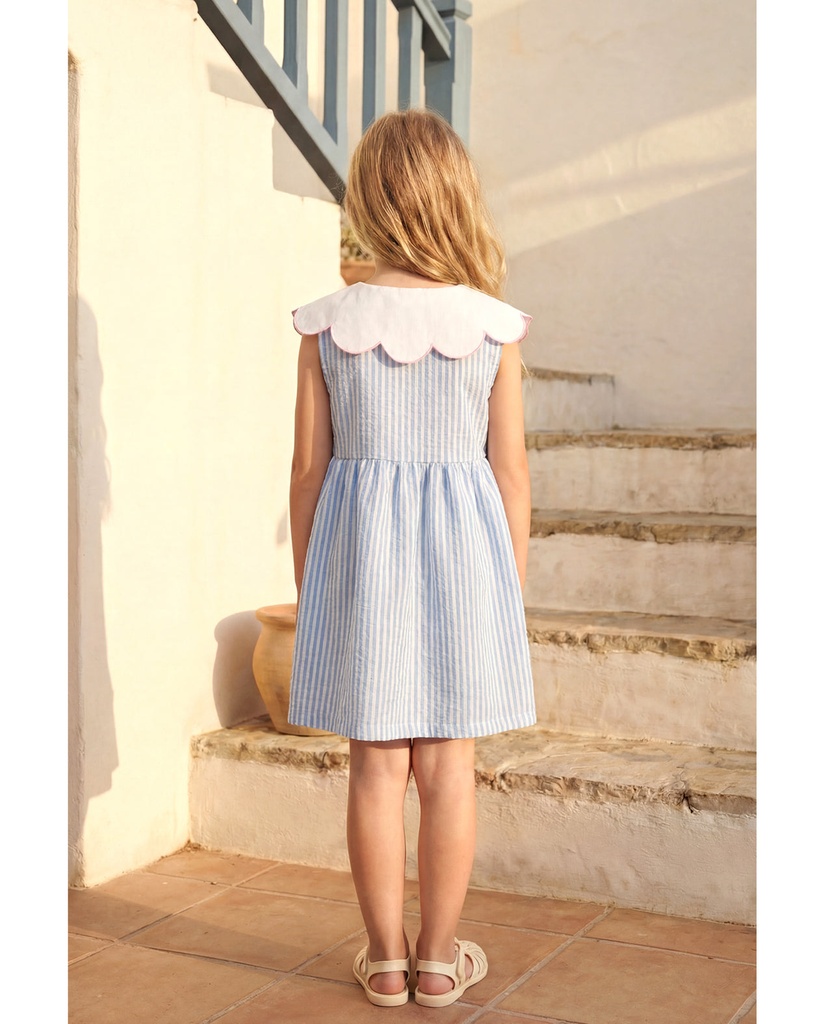 Rabbits Blue Dress 