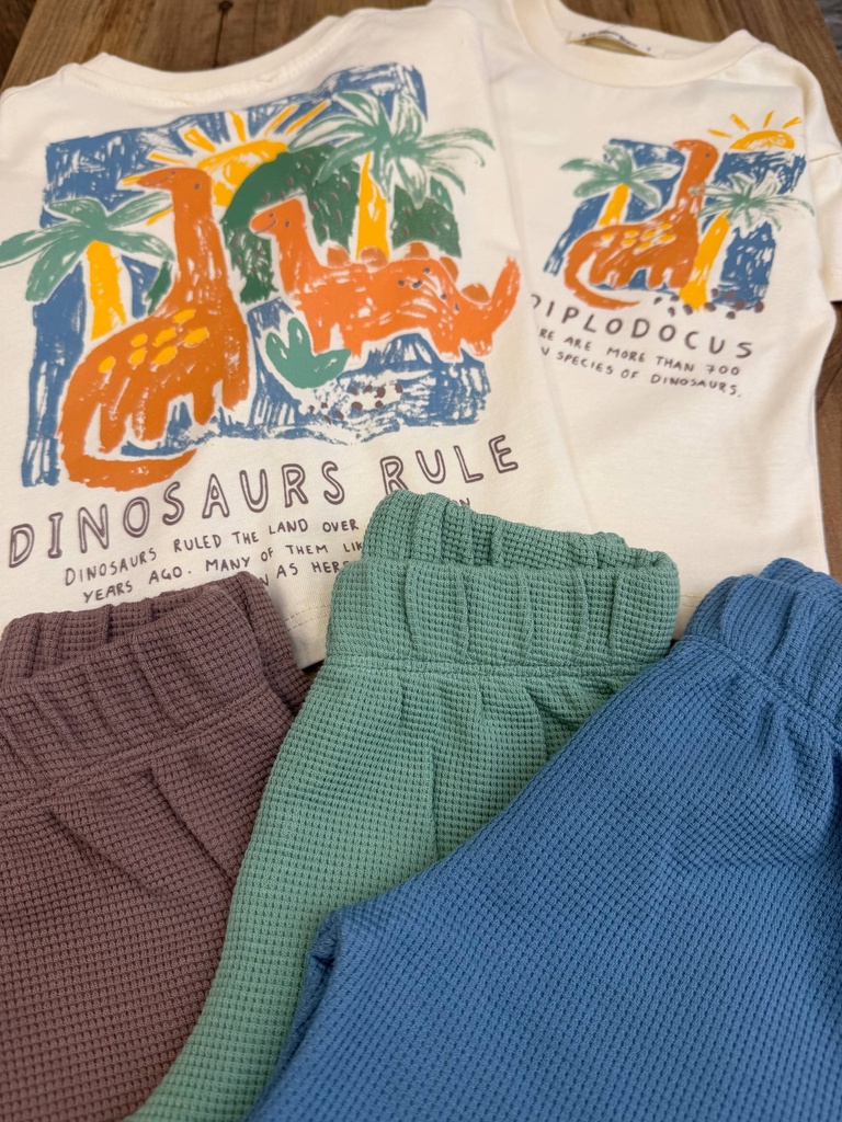 Baby Dino Waffle Shorts Set- BLUE