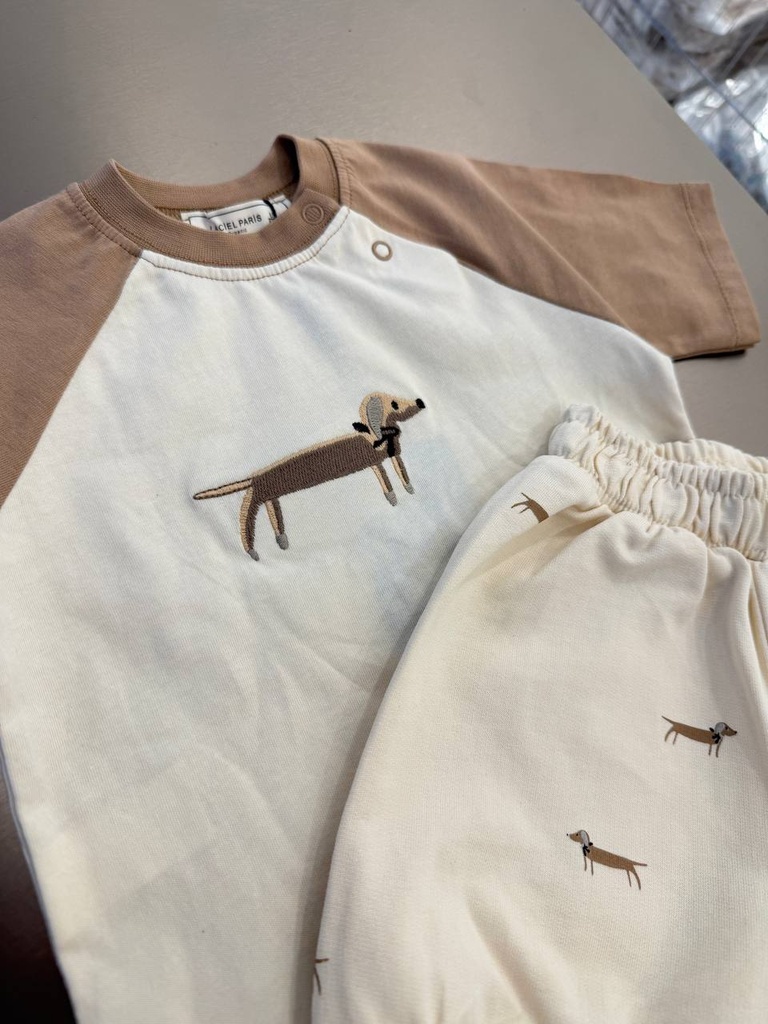 Dog Boy Set