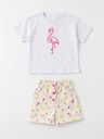 Flamingo Girl set