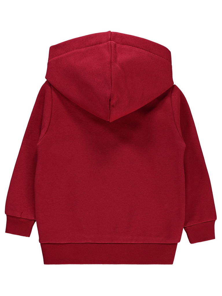 Fleece Hoodie