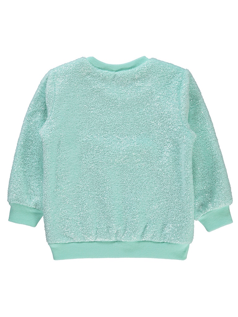 Light Green sweatshirt