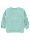 Light Green sweatshirt
