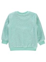 Light Green sweatshirt