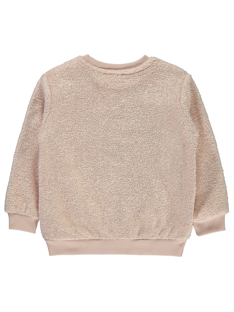 Salmon Thick Sweatshirt