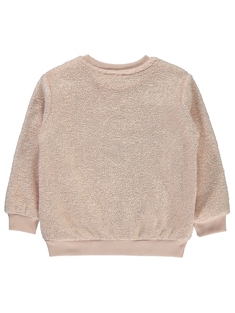 Salmon Thick Sweatshirt