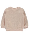 Salmon Thick Sweatshirt