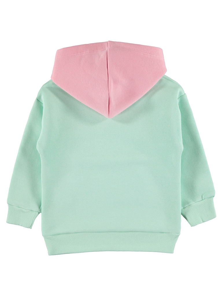 Green pink Fleece Hoodie