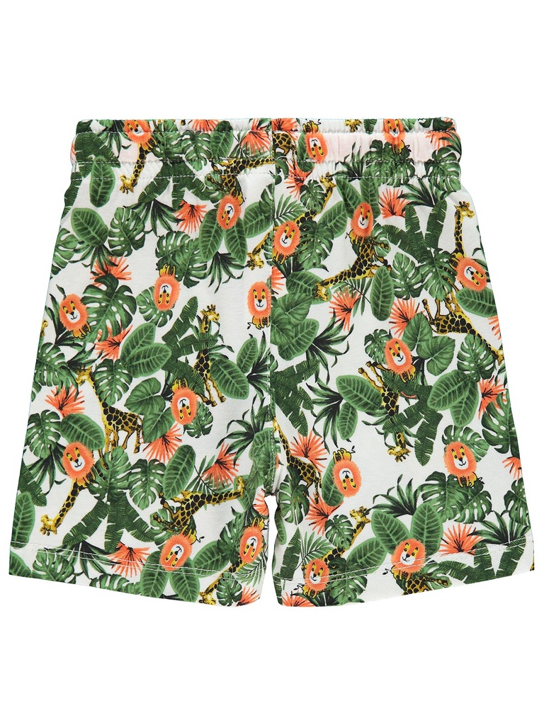 Lions amazon cotton Short