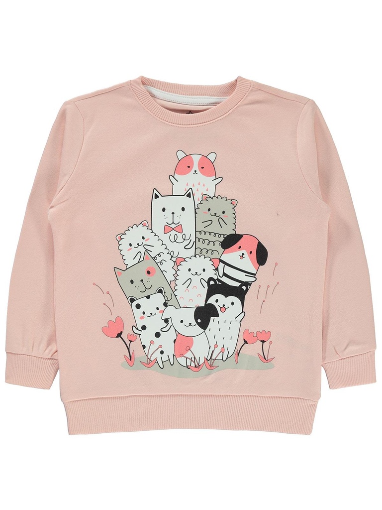 Cats sweatshirt - Salmon Color