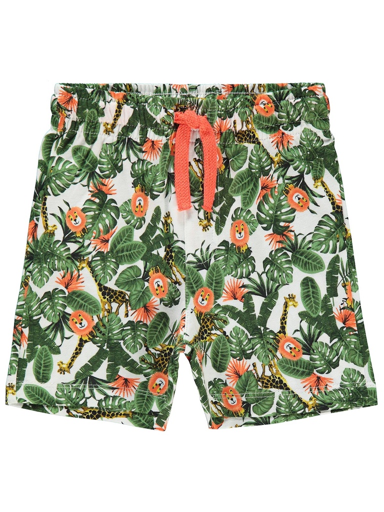 Lions amazon cotton Short (2-3 years)
