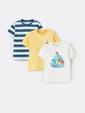 Set of 3 T-shirts