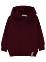 burgundy Hoodie