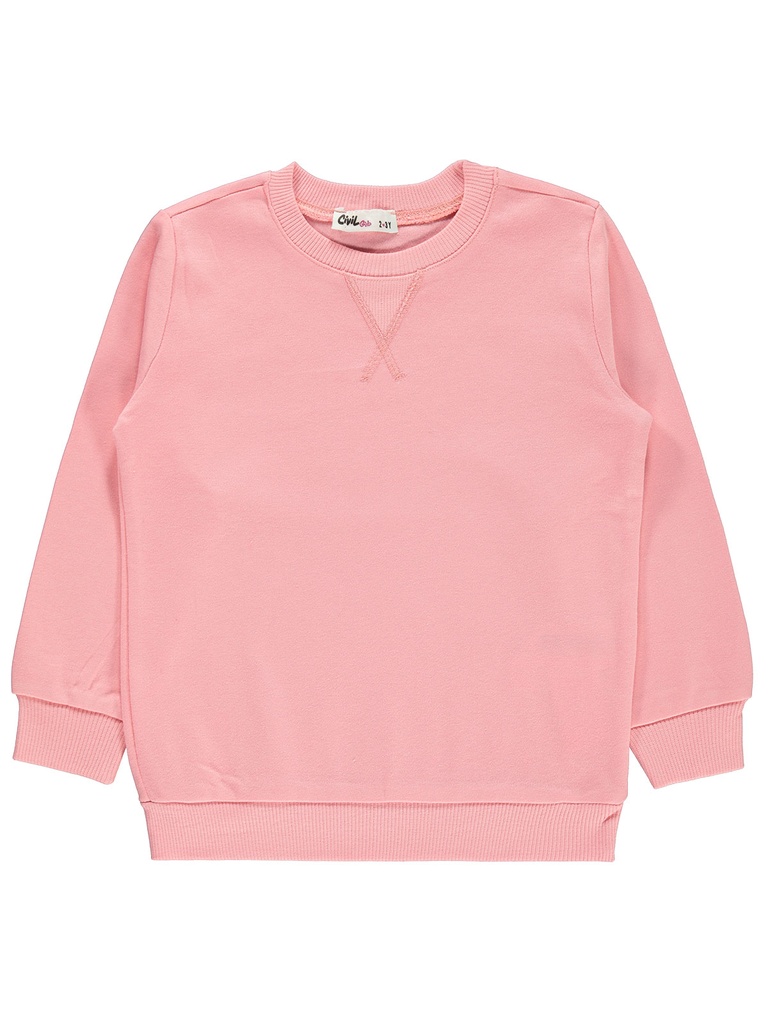 Pink Sweatshirt