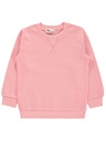 Pink Sweatshirt